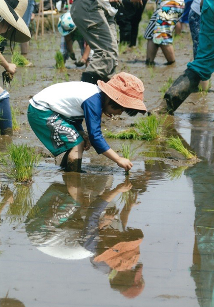 君津市長賞 「二人で田植え」 木更津市　春川修夫