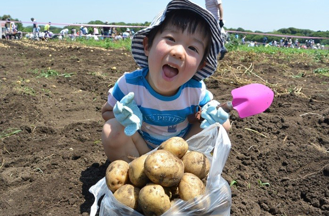 君津市認定農業者協議会長賞 「じゃがいもたくさん掘れたよ！」 川崎市　大垣内暖人