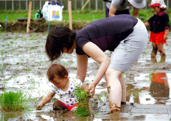 ここに植えるの_富津市_佐藤一直