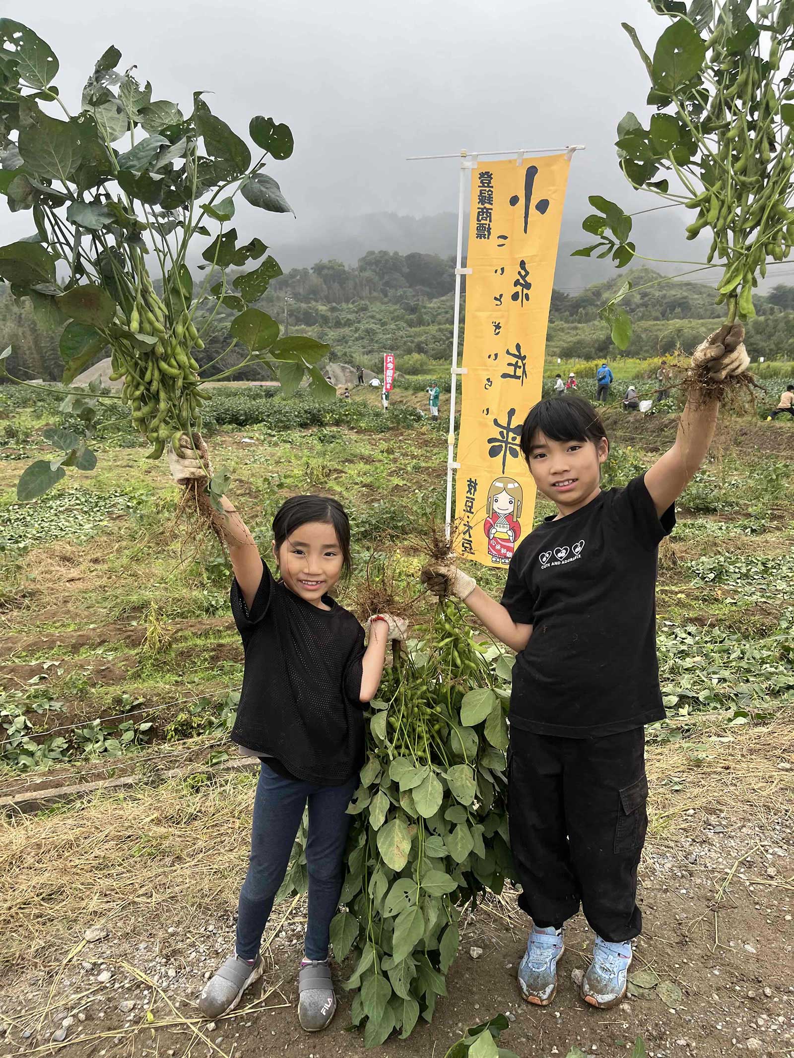 収穫した背丈ほどの枝豆を掲げる2人の子ども