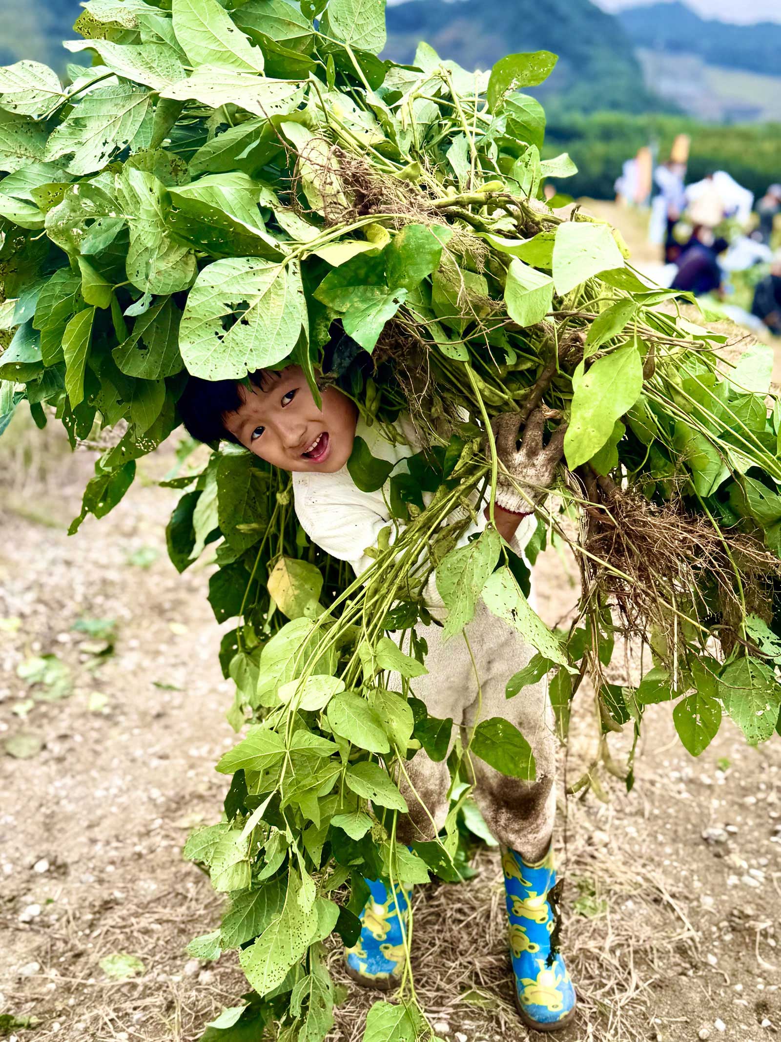 収穫した大量の枝豆を抱えて笑顔を見せる子ども
